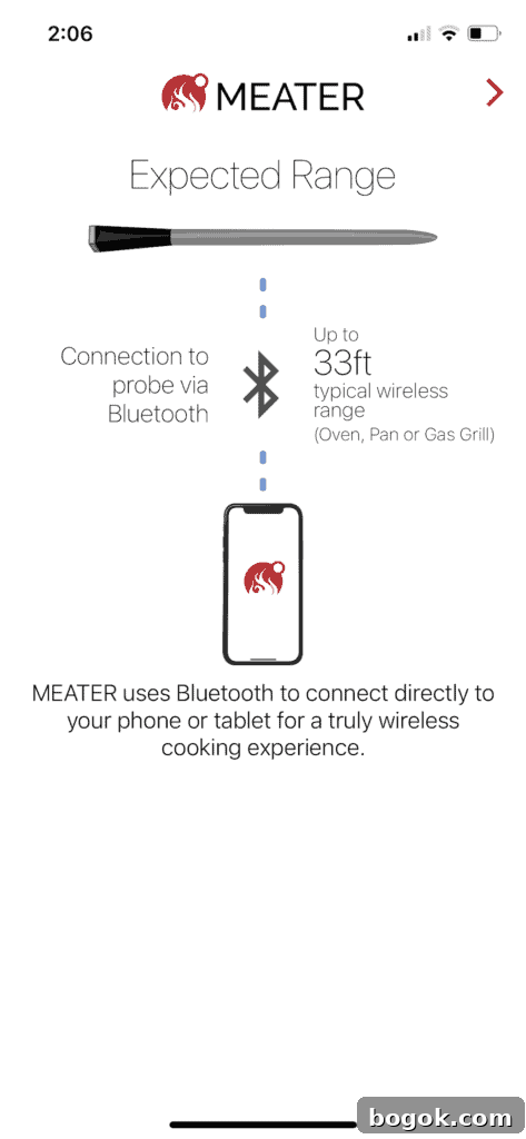 Charging Meater Plus