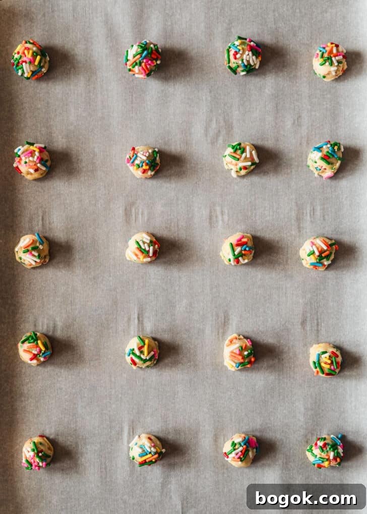 Soft and Chewy Mini Sprinkle Cookies Recipe 11 Rows of unbaked sprinkle cookies on a sheet pan.