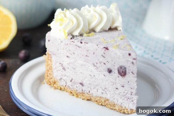 9 No-Bake Summer Desserts to Beat the Heat 10 img 6003 9