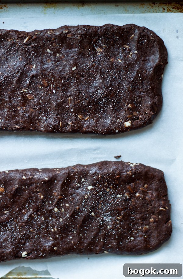 Sea Salt Double Chocolate Biscotti Recipe 4 Biscotti Dough