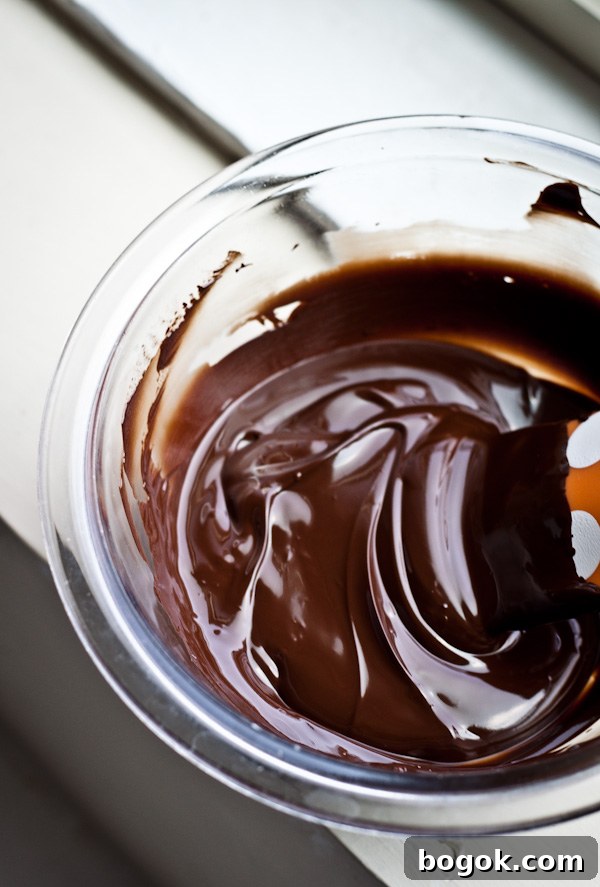 Sea Salt Double Chocolate Biscotti Recipe 5 Melted Chocolate