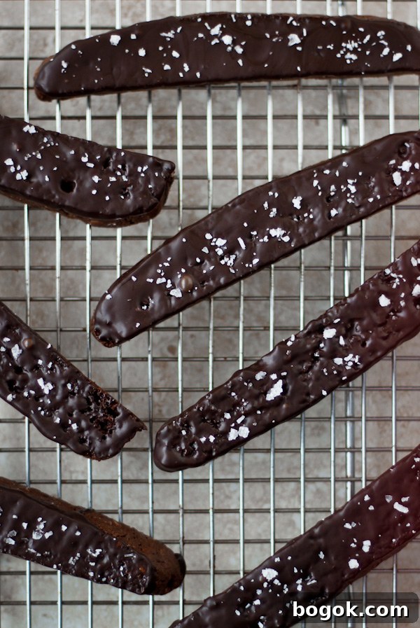 Sea Salt Double Chocolate Biscotti Recipe 6 Double Chocolate Biscotti with Sea Salt