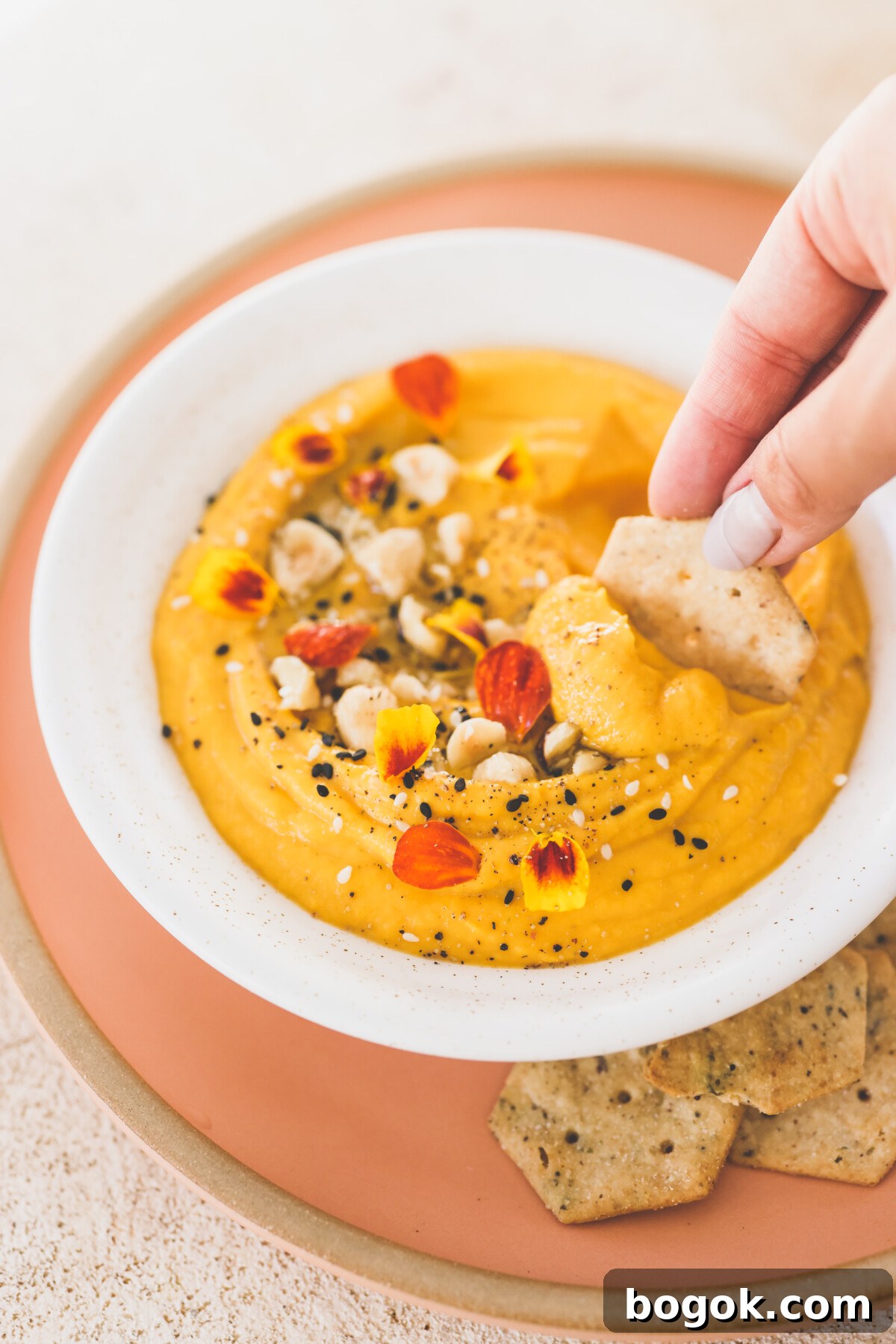 Roasted Butternut Squash Dip Recipe, Creamy Fall Appetizer 2 a hand dipping a cracker into dip